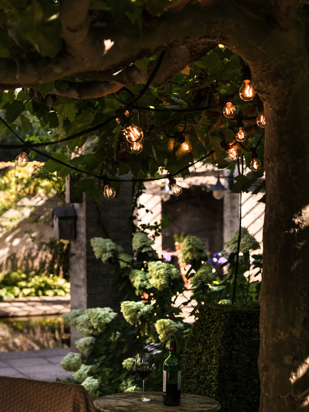 Bright light Pkt - inkl. clear bulbs - PR Home - Ljusvaruhuset