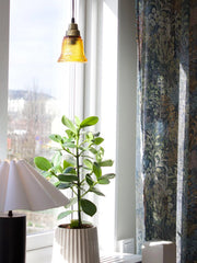 Emmi fönsterlampa - Amber/brass 12cm - PR Home - Ljusvaruhuset