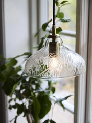 Maple Taklampa - Klarglas 23cm - PR Home - Ljusvaruhuset