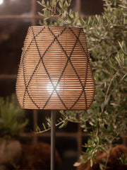 Agnar Lollo outdoor