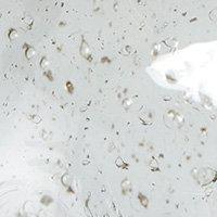 Groove bordlampa - Clear/foileffect 30c - PR Home - Ljusvaruhuset