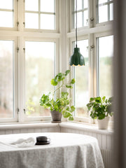 Tulippa tak/fönster - Grön 17cm - Carl Larsson - Ljusvaruhuset