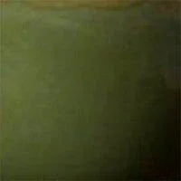 Nell bordslampa - Mossa grön, 34cm - PR Home - Ljusvaruhuset